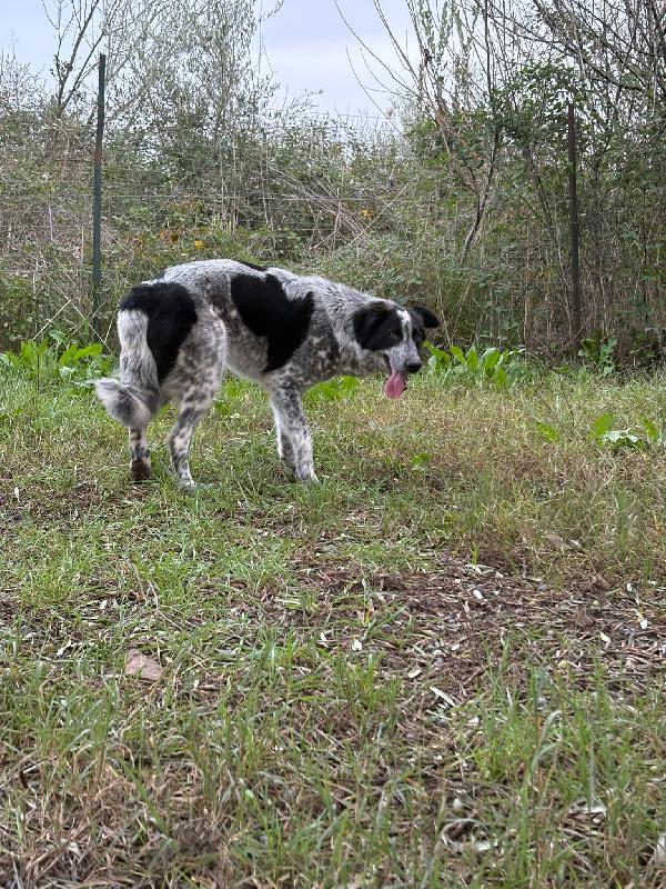 Serena, un anno Foto 7