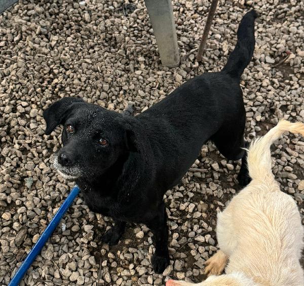 Monica 3 anni Taglia piccola  Foto 2