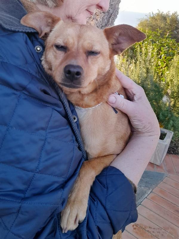 LOLA TAGLIA PICCOLA  Foto 4