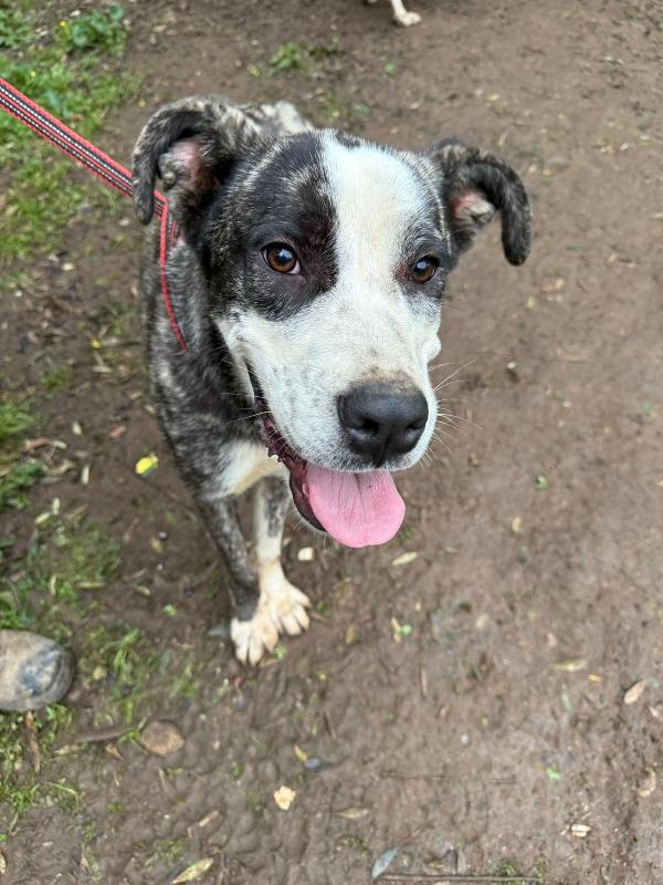 Otis Aspetta Una Mamma 