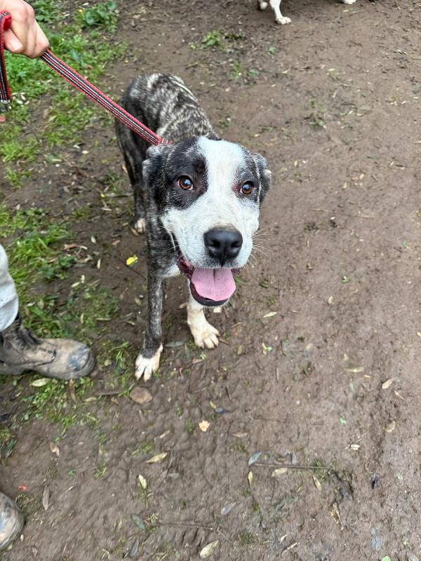 OTIS ASPETTA UNA MAMMA  Foto 2