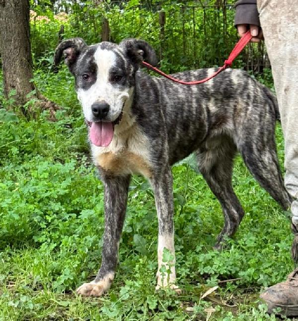 OTIS ASPETTA UNA MAMMA  Foto 3