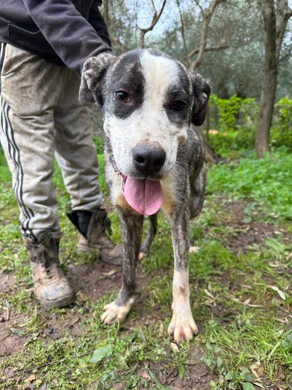 OTIS ASPETTA UNA MAMMA  Foto 5