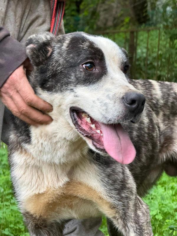 OTIS ASPETTA UNA MAMMA  Foto 6