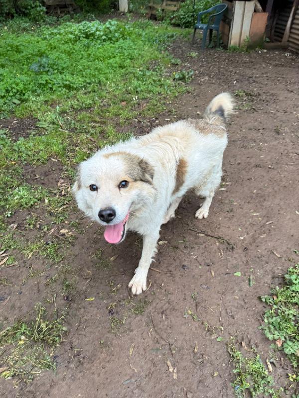 Milo Aspetta Una Mamma 