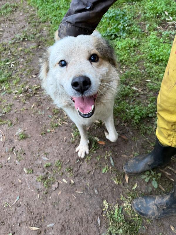 MILO ASPETTA UNA MAMMA  Foto 3