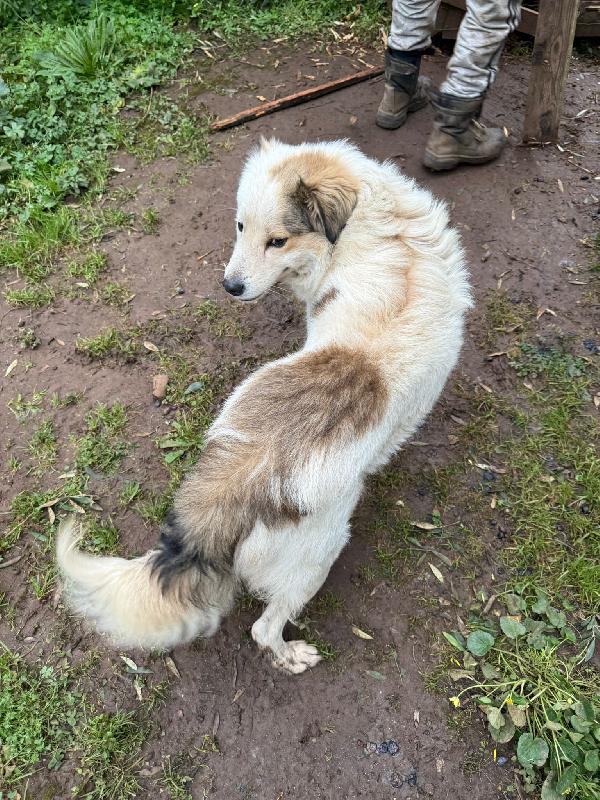 MILO ASPETTA UNA MAMMA  Foto 4