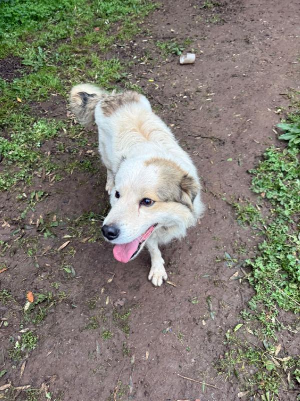 MILO ASPETTA UNA MAMMA  Foto 5