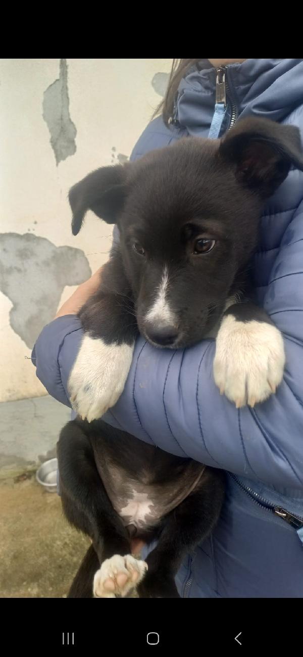 Kira 🖤🤍 Foto 3