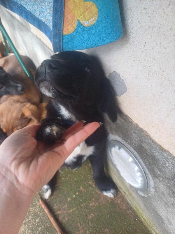 Kira 🖤🤍 Foto 4