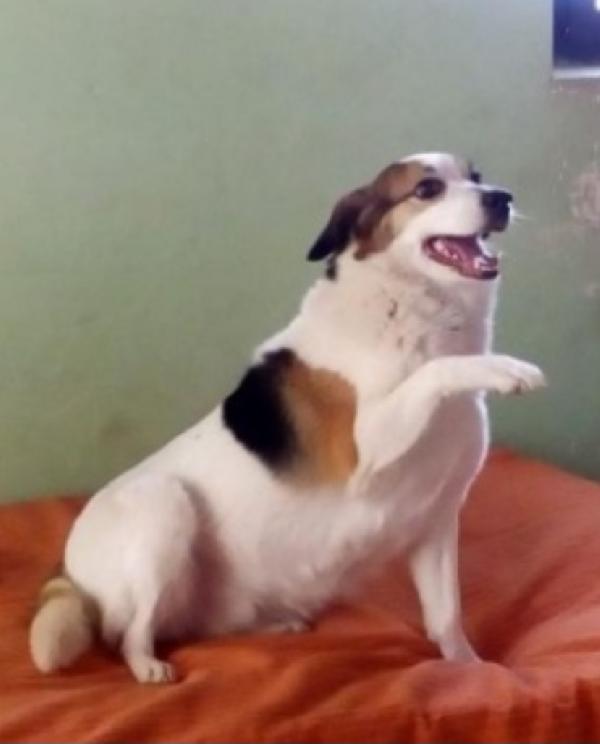 Ambra 7anni rifiutata 4anni fa...BOLOGNA SOS Foto 4