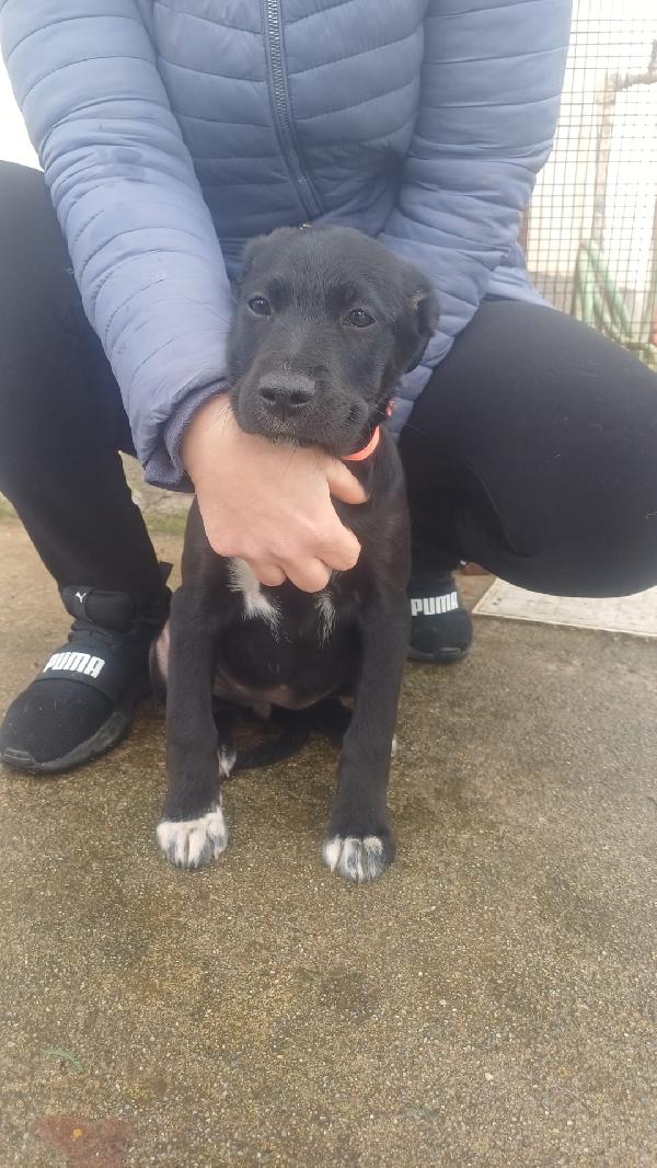 Toby💙💙💙💙💙 Foto 2