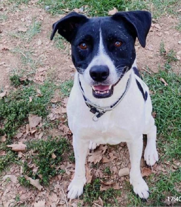 Polka 6Anni Salvata 3Anni Fa Da 1Lager Milano