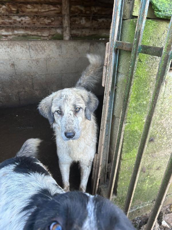 Gracy Splendida Dolce Giovanotta Cerca Casa 