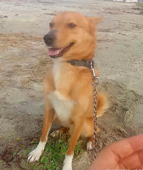 NINA TAGLIA PICCOLA  Foto 3