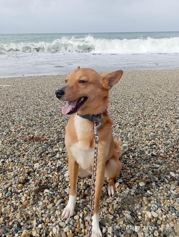 NINA TAGLIA PICCOLA  Foto 4