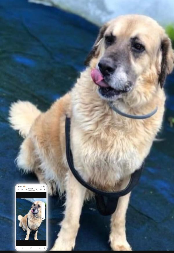 Sara Anziana Non Ha Mai Avuto 1Casa.roma