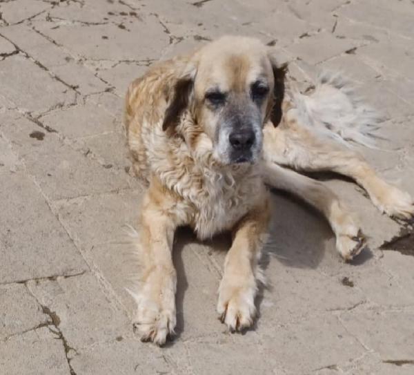 Sara anziana NON HA MAI AVUTO 1CASA.ROMA Foto 2