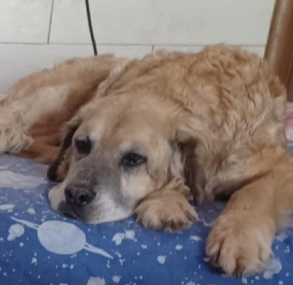 Sara anziana NON HA MAI AVUTO 1CASA.ROMA Foto 4