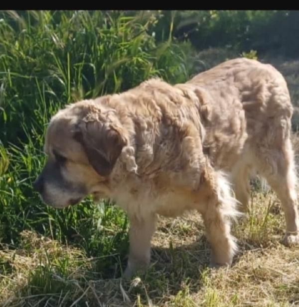 Sara anziana NON HA MAI AVUTO 1CASA.ROMA Foto 5