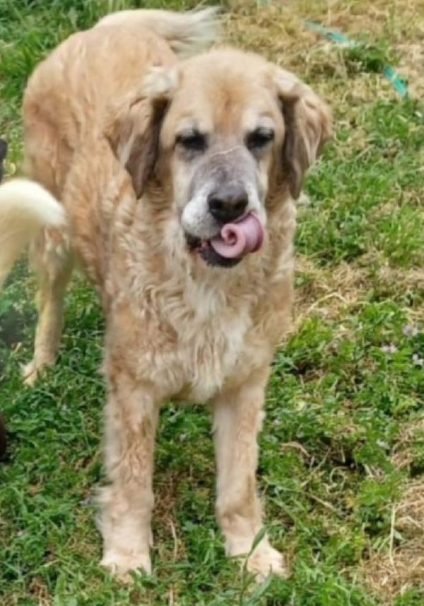 Sara anziana NON HA MAI AVUTO 1CASA.ROMA Foto 6