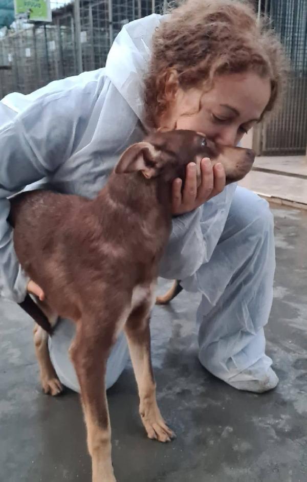 NUTELLA, 7 mesi Foto 3