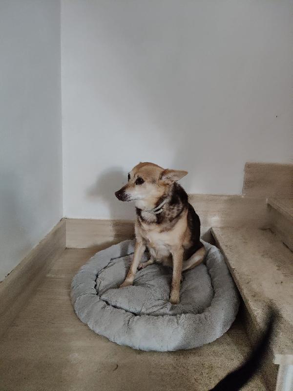 Gelbie: 15 anni, adozione del cuore  Foto 3