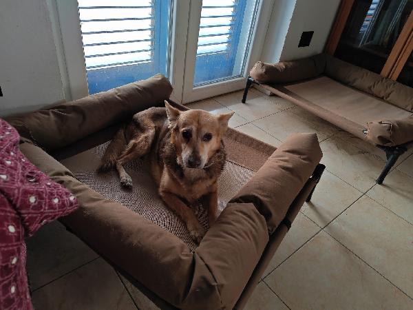 Gelbie: 15 anni, adozione del cuore  Foto 5