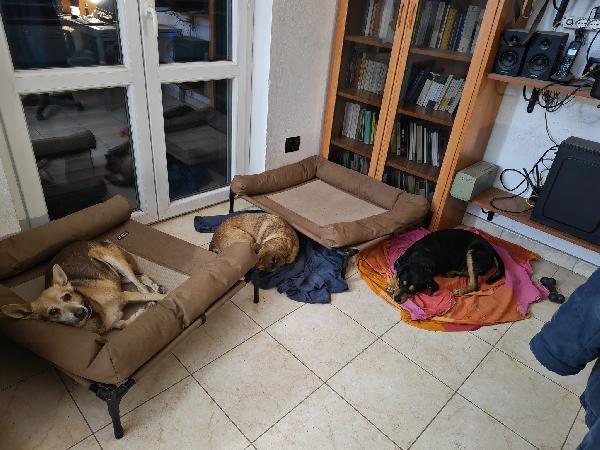 Gelbie: 15 anni, adozione del cuore  Foto 7