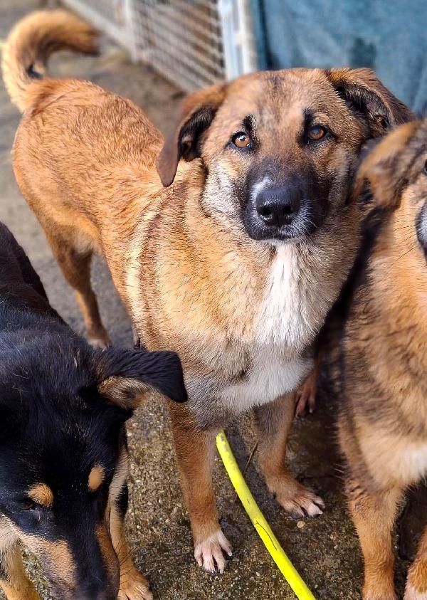 Bea...aspetta Solo Te