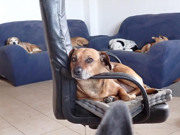 Sasha: 10 Anni, Adozione Del Cuore 