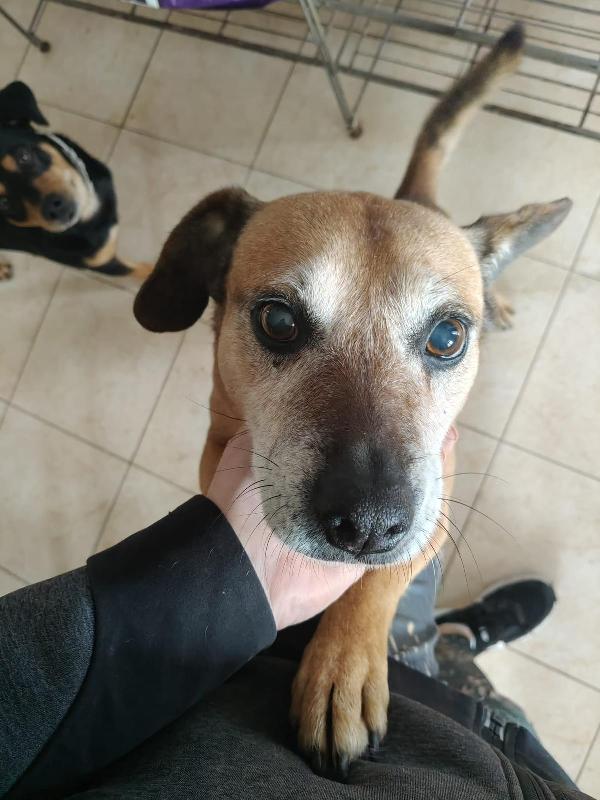 Sasha: 10 anni, adozione del cuore  Foto 2