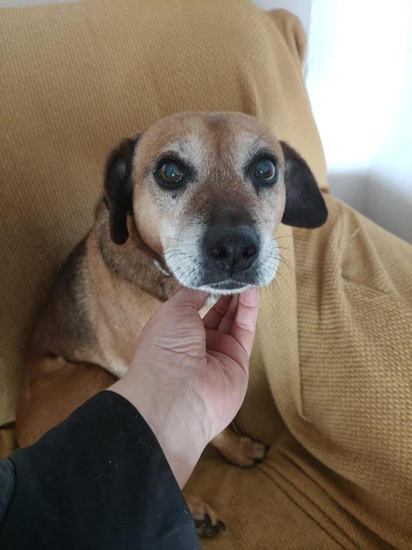 Sasha: 10 anni, adozione del cuore  Foto 5