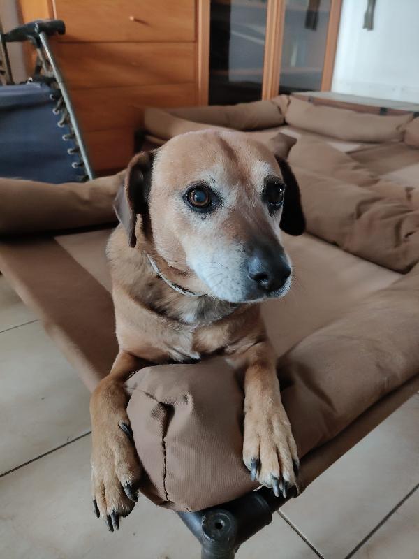 Sasha: 10 anni, adozione del cuore  Foto 7