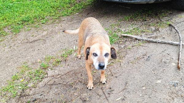 Sasha: 10 anni, adozione del cuore  Foto 8