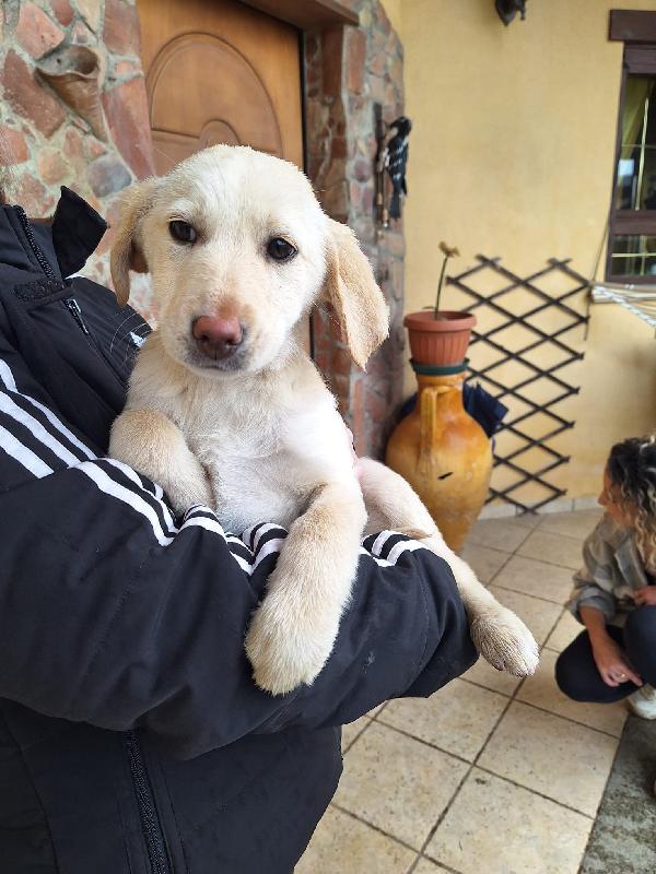 Clara e Egle  Foto 2