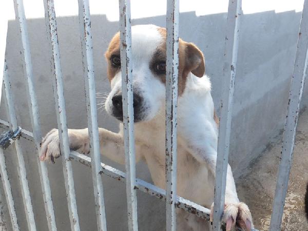 Filippo buono e socievole Foto 2