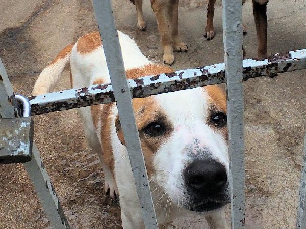 Filippo buono e socievole Foto 5