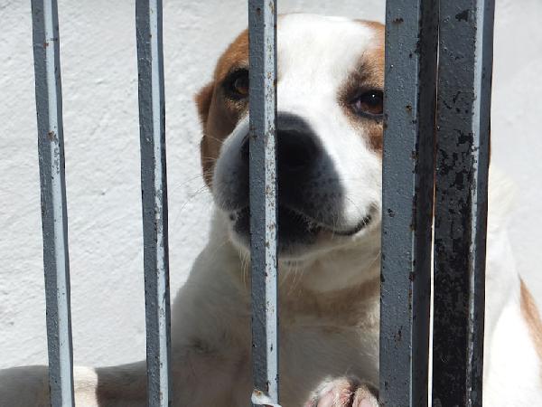 Filippo buono e socievole Foto 7