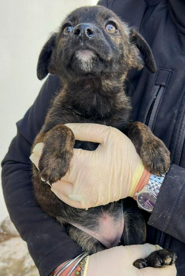 Margot..occhi che incantano  Foto 4