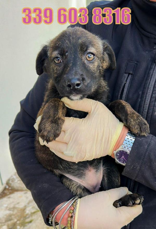 Margot..occhi che incantano  Foto 5