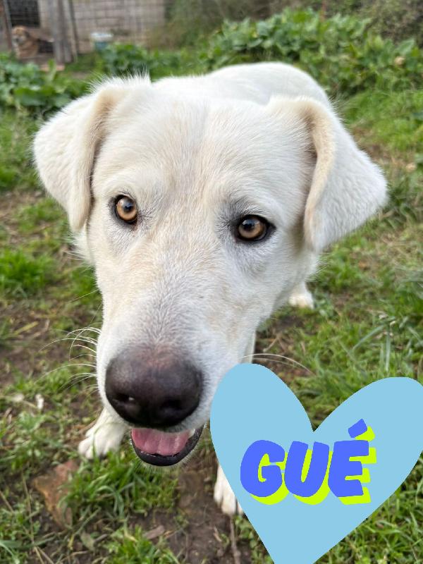 Guè...aspetta La Sua Mamma