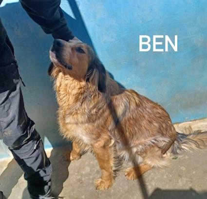 Ben Buono E Socievole