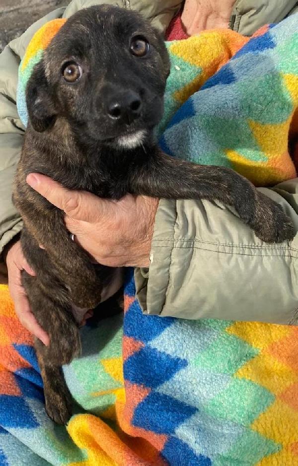 Margot...vi aspetta Foto 2