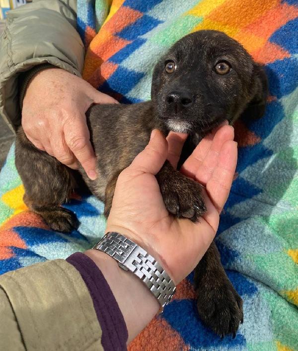 Margot...vi aspetta Foto 4