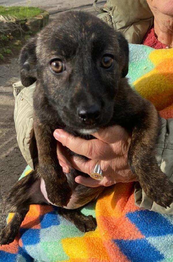 Margot...vi aspetta Foto 5