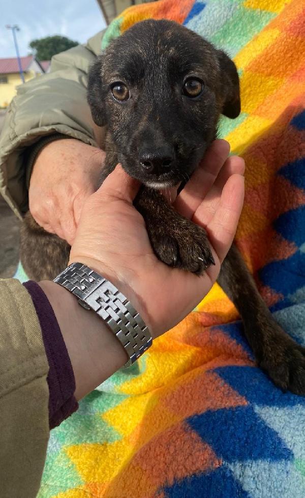 Margot...vi aspetta Foto 6