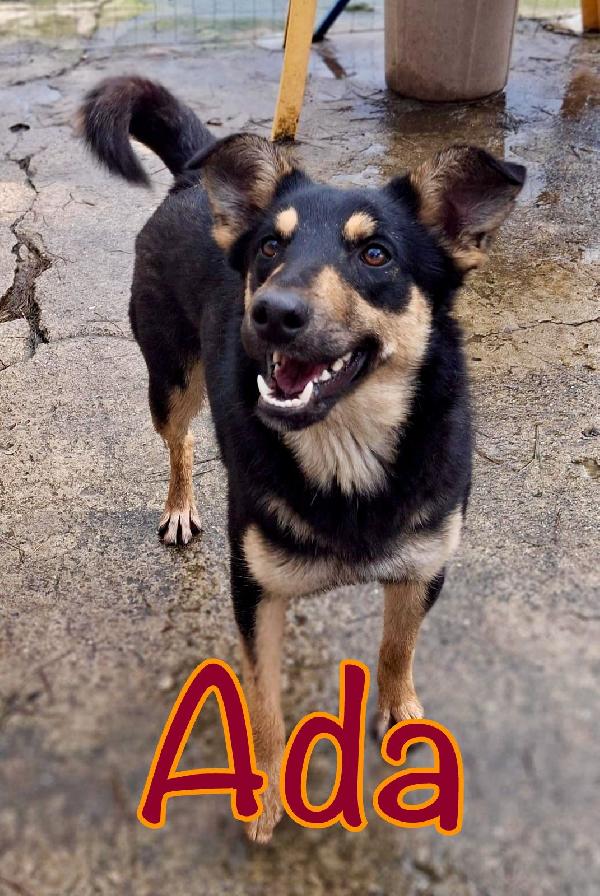 Ada, 11 Mesi Che Aspetta La Mamma