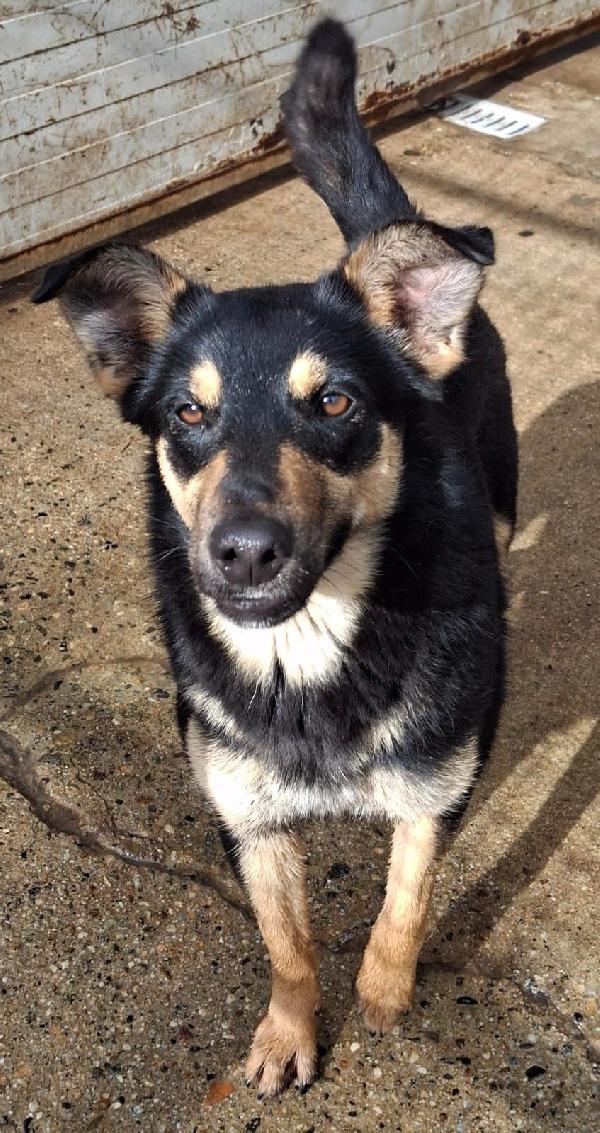 Ada, 11 mesi che aspetta la mamma Foto 3