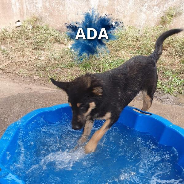 Ada...musino Da Baciare